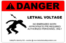 4in x 6in DANGER Lethal Voltage Safety Label